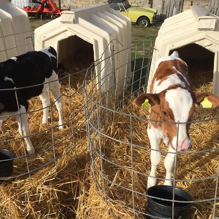 ジリンガム Church Farm Bed & Breakfast エクステリア 写真